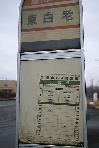 東白老