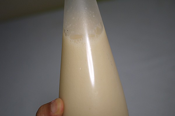 酵母が生きている
