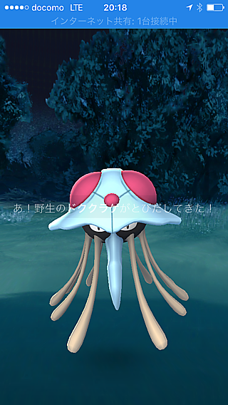 ドククラゲ