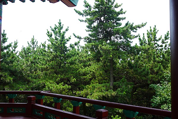 韓国八景