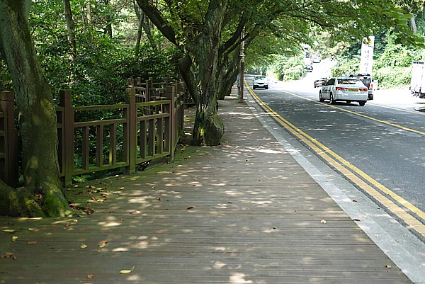 散策路