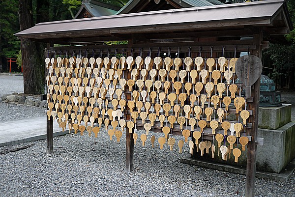 オタマジャクシ