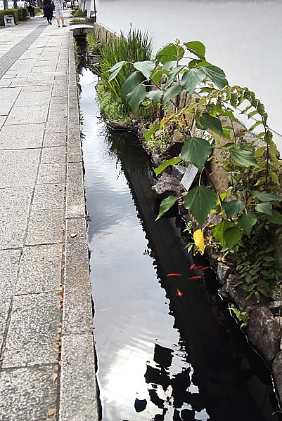 彦根城下町