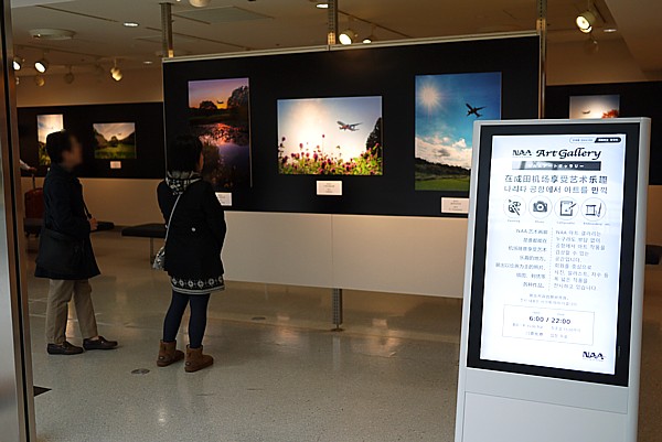 NAA Art Gallery