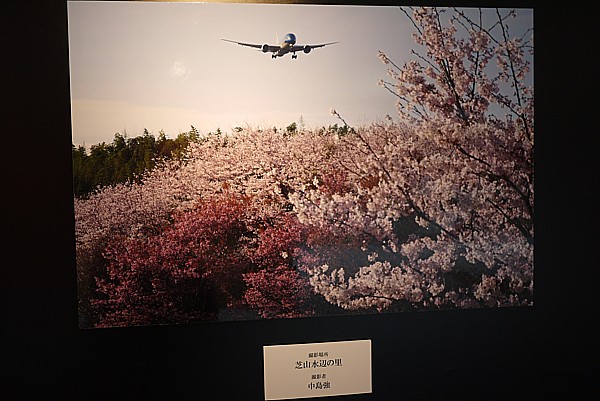 中島強