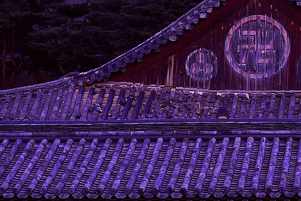 慶州地震