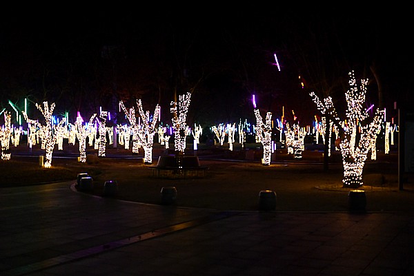 夜のエキスポ公園