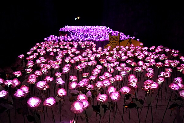 バラのLED