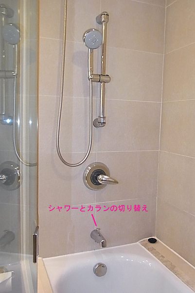 難点
