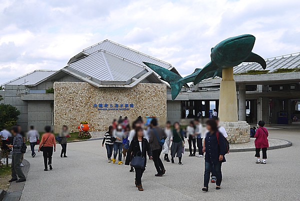 沖縄美ら海水族館