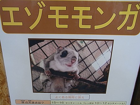 かわいい案内板
