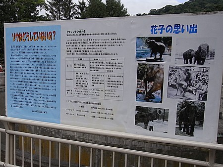 ぞうがいない
