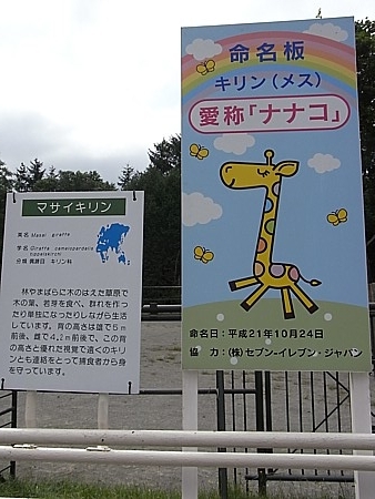 ナナコ