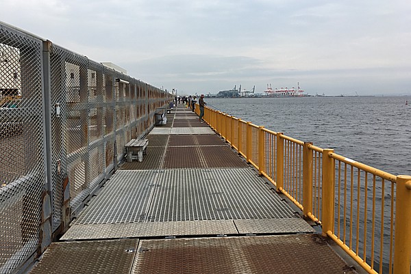 広い釣り場