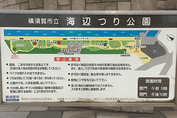 案内
