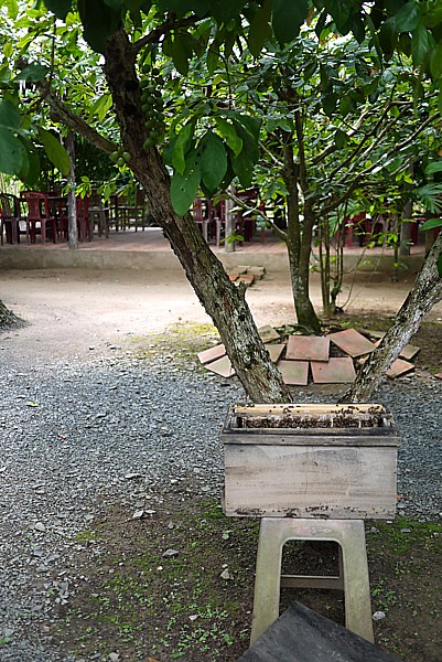 メコン川クルーズ
