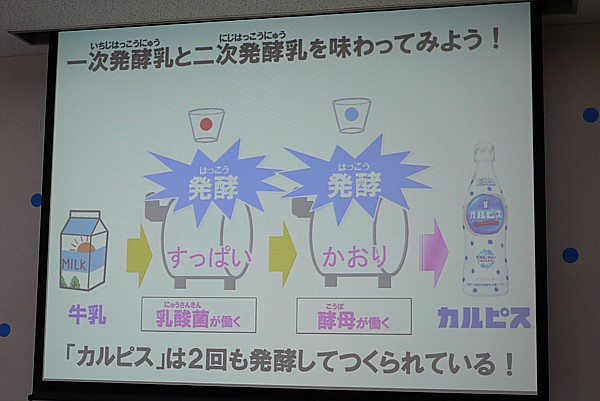 カルピスの工場見学