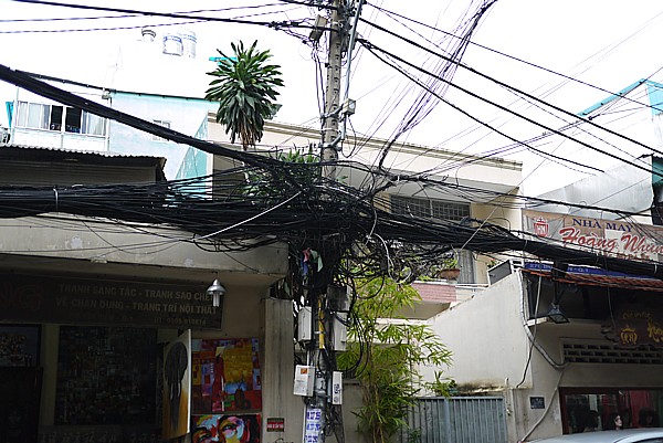 鳥の巣電線