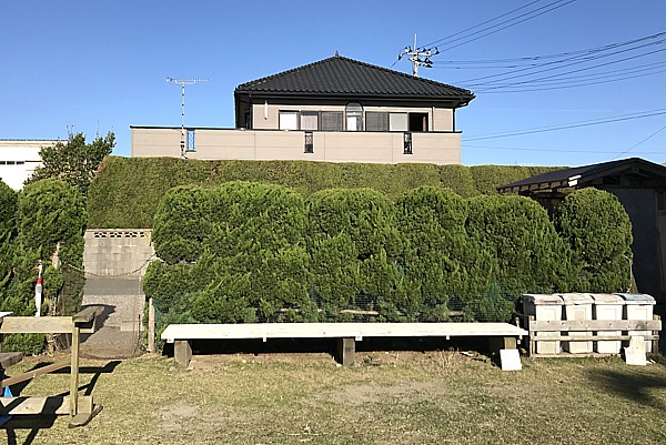 立地