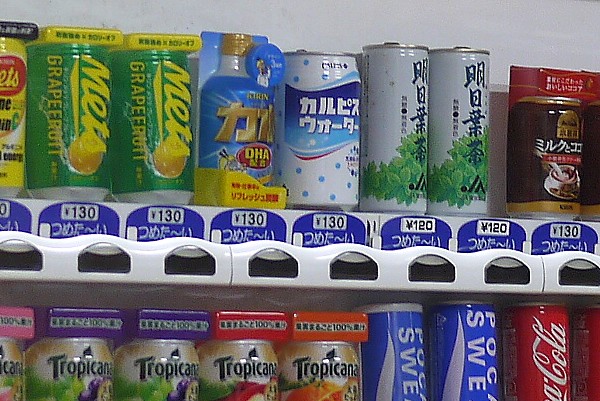 明日葉茶