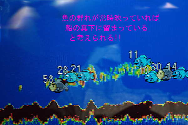 使い方、見方