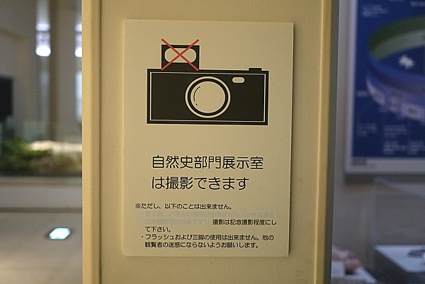 難点