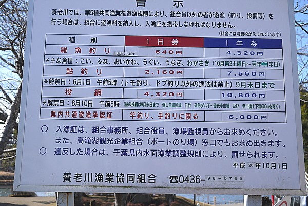 遊魚料