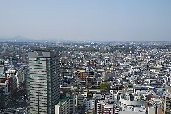 仙台ドーム