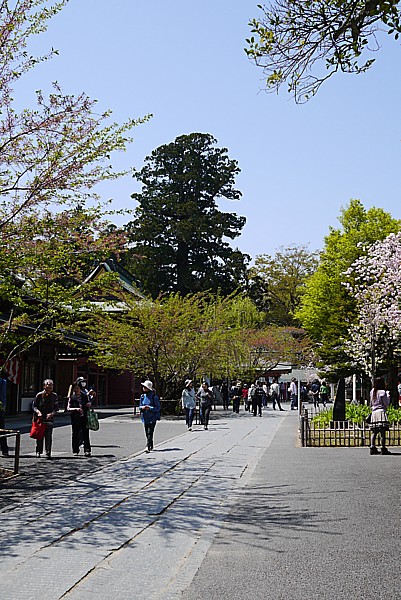 あまりに古くて創建が不明