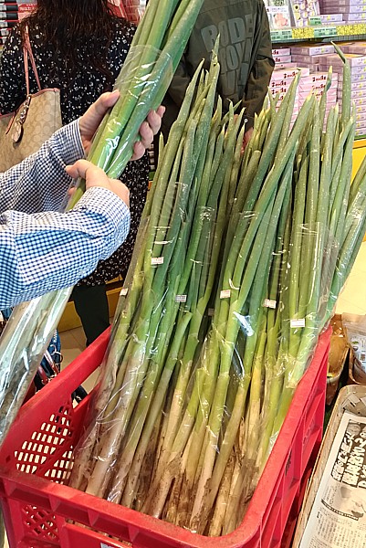 ねぎ100円