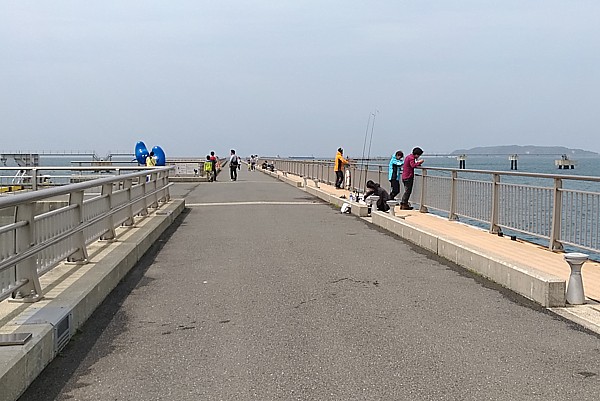 無料の桟橋あり