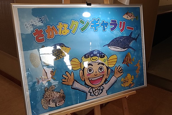 おさかなクンギャラリー