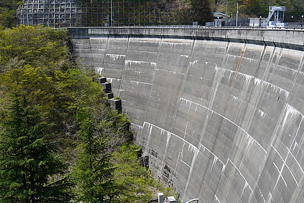 大倉ダムに遭遇