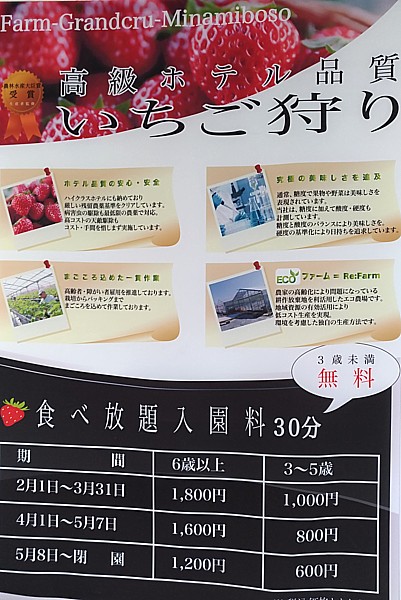 いちご狩り