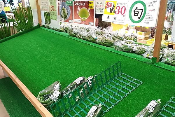 きゅうり売れ切れ