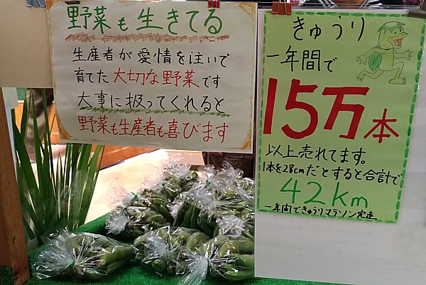 きゅうり売れ切れ