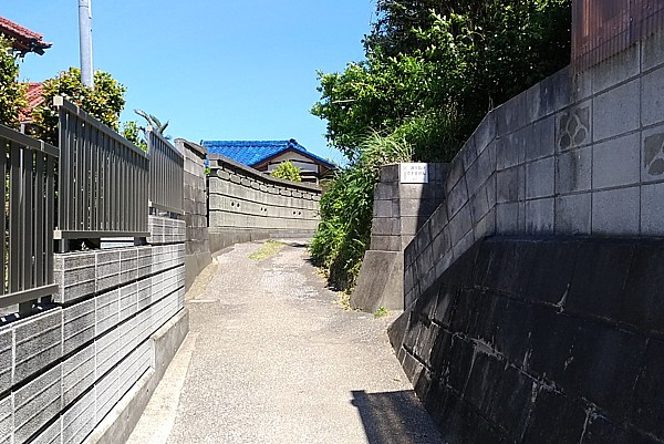 噛めば噛むほど旨味が出る