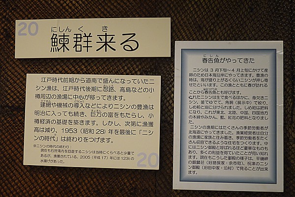 歴史を学ぶいい機会