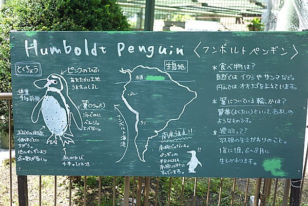 個性の出る説明文