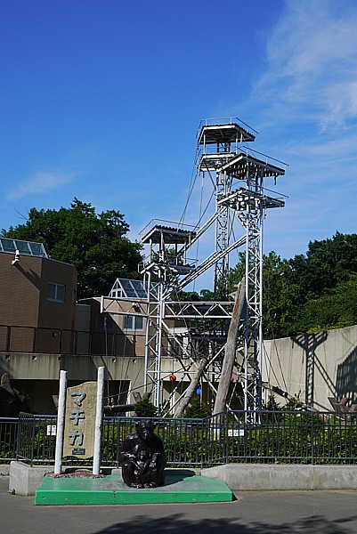 近代的なサル山