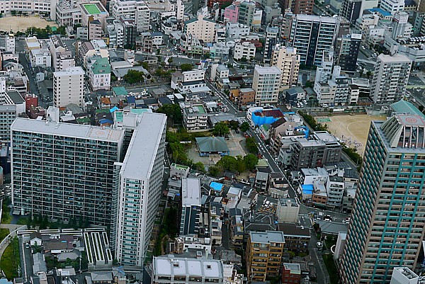 台風の被害