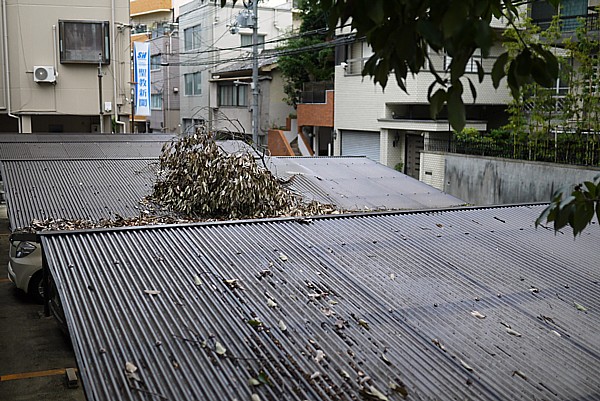 台風の被害