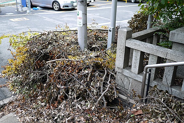 台風21号後