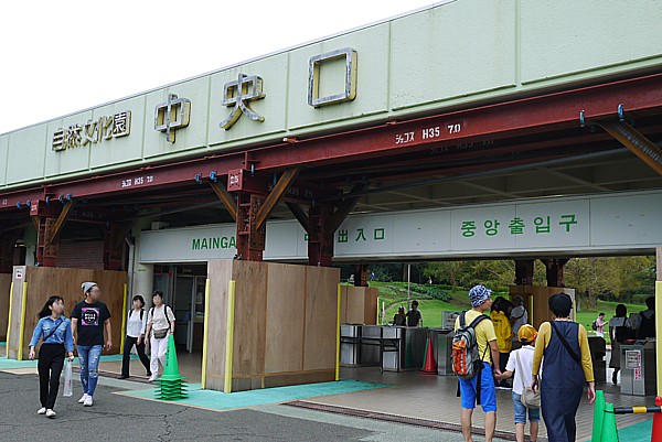 中央口