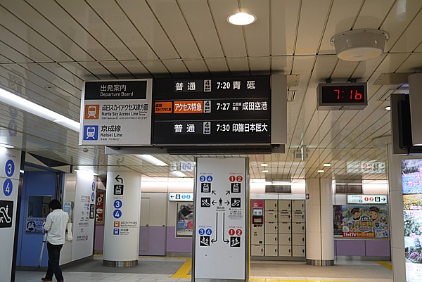 JAL特典航空券で行く