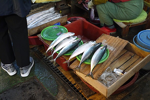 釜山で有名な海鮮鍋