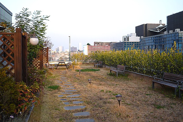 屋上庭園