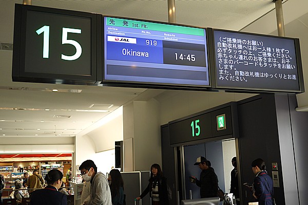 JAL 919 羽田-那覇