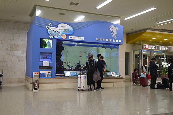 美ら海水族館