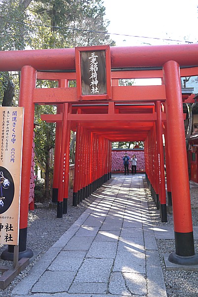 鳥居たくさん